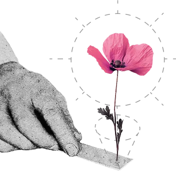 Founding Chemist Program