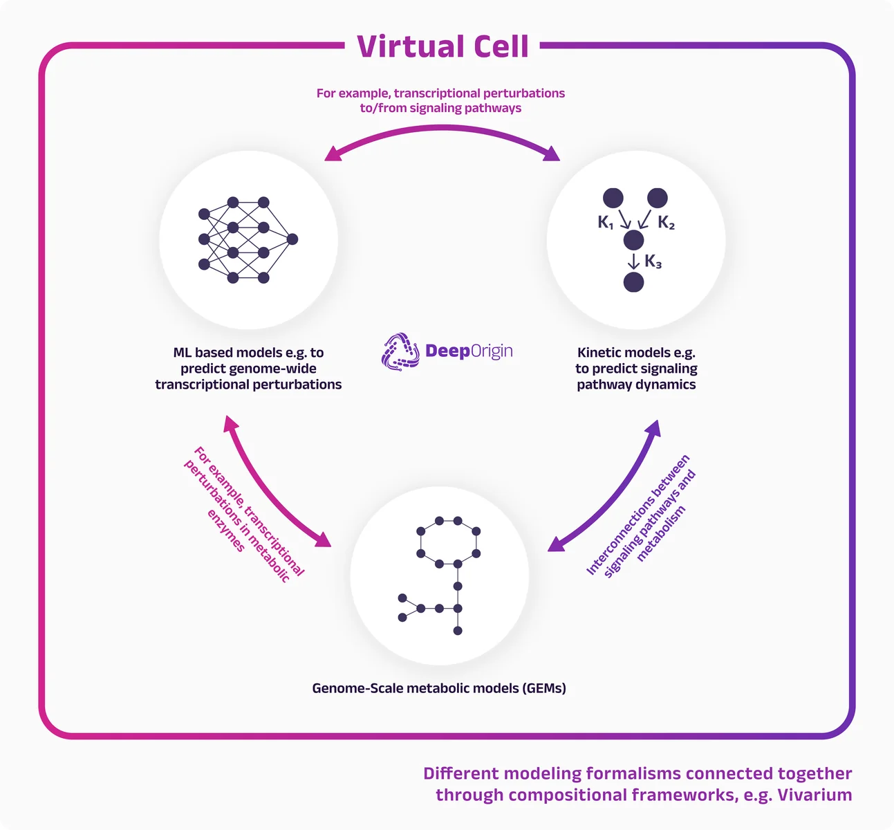 Deep Origin virtual cell approach using Vivarium framework