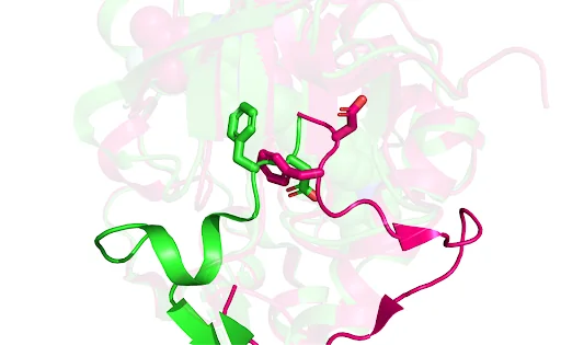 ABL1 tyrosine kinase conformational changes