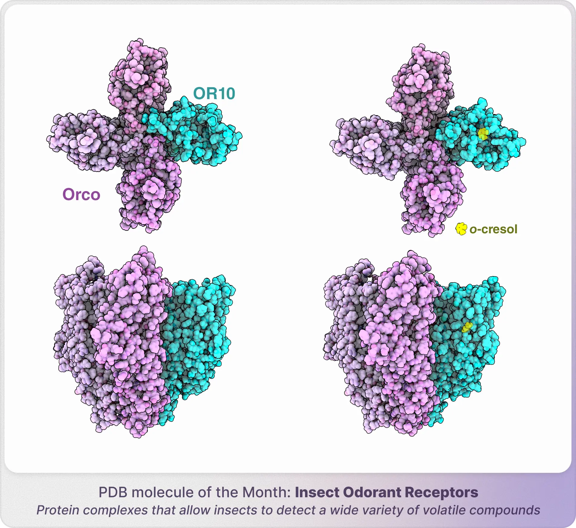 3D molecular visualization
